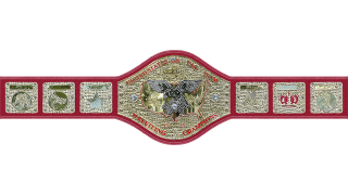 NWA United States Tag Team Championship