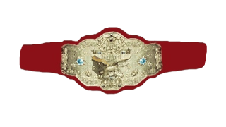 NWA World Women's Tag Team Championship