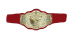 NWA World Women's Tag Team Championship