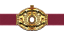 NWA Worlds Heavyweight Championship