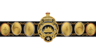 NWA World Heavyweight Championship ('Lou Thesz belt')