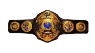 NWA World Junior Heavyweight Championship