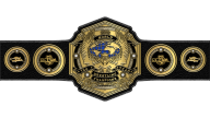 NWA World Tag Team Championship
