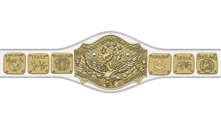 NWA World Tag Team