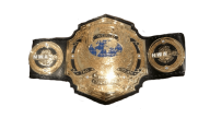 NWA World Tag Team Championship