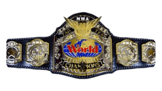 NWA World Tag Team Championship