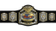 NWA World Tag Team Championship