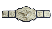 NWA World Tag Team Championship
