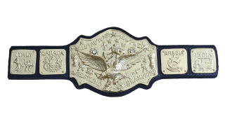 NWA World Tag Team Championship