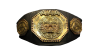 AAA Mega Championship
