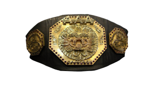 AAA Mega Championship