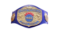 AAA World Mixed Tag Team Championship (male version)
