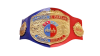 AAA World Mixed Tag Team Championship AAA World Mixed Tag Team Championship