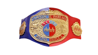 AAA World Mixed Tag Team Championship