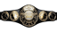 AEW Unified Championship