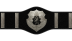 American Heavyweight Championship