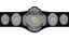 FCW Florida Tag Team Championship