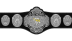 FCW Florida Tag Team Championship
