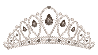 FCW Queen of Florida Championship