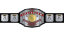 IWA Unified Puerto Rico Heavyweight Championship