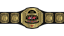 MLW World Junior Heavyweight Championship