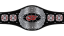 Open the Brave Gate Championship