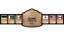 WWF International Heavyweight Championship