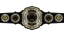 PROGRESS World Championship