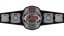 ROH World Six-Man Tag Team Championship