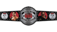ROH World Tag Team Championship (MxM Collection stolen belt)
