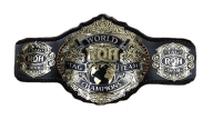 ROH World Tag Team Championship