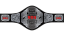 ROH World Television Championship