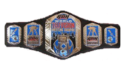 ROH World Television Championship