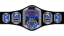 ROH World Television Championship