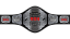 ROH Women's World Television Championship