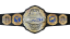TNA World Championship