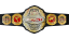 TNA World Championship