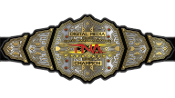 TNA Digital Media Championship