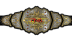 TNA Digital Media Championship