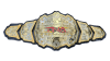 TNA Digital Media Championship
