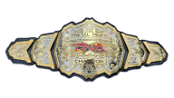 Tna digital media championship 24