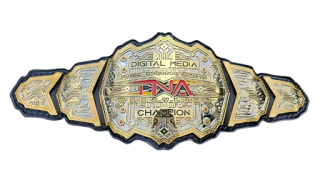 TNA Digital Media Championship