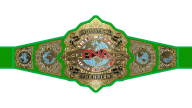 TNA International Championship