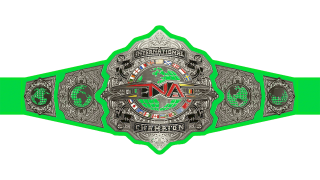 TNA International Championship