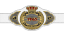 TNA Knockouts Championship