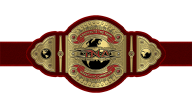 TNA Knockouts Tag Team Championship