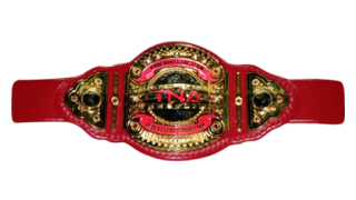 TNA Knockouts Tag Team Championship