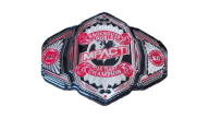 Impact Knockouts World Tag Team Championship