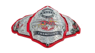 Tna knockouts tag team championship 24