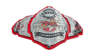 TNA Knockouts World Tag Team Championship